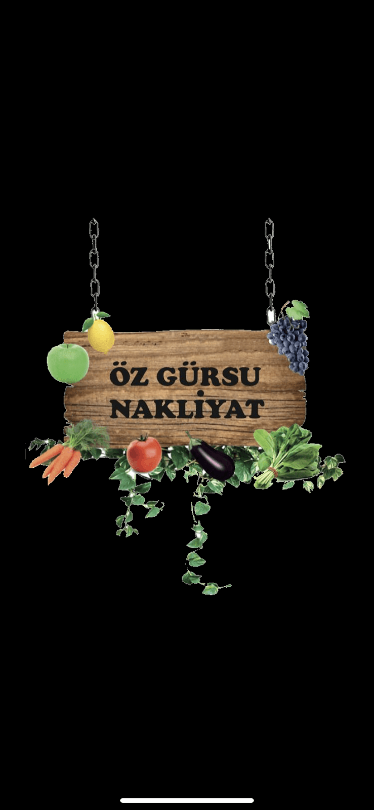 Öz Gürsu Nakliyat görseli 1