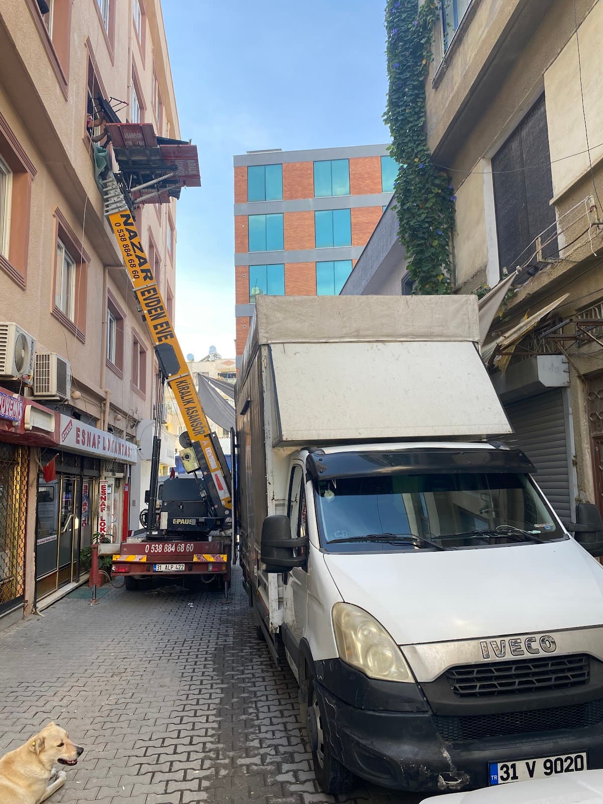 Şeker Nakliyat görseli 1