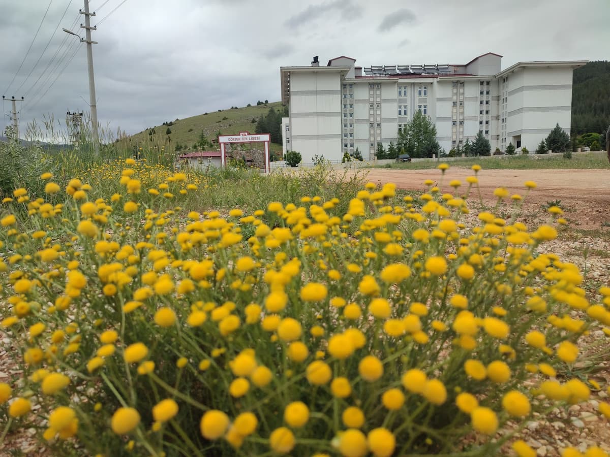 Pirinçoğlu Keban Nakliyat görseli 1