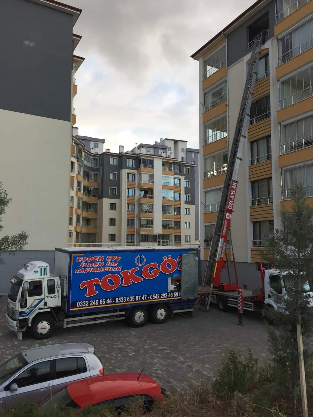 Tokgöz Evden Eve görseli 3