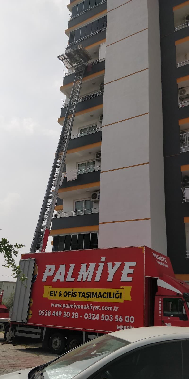 Palmiye Nakliyat görseli 2