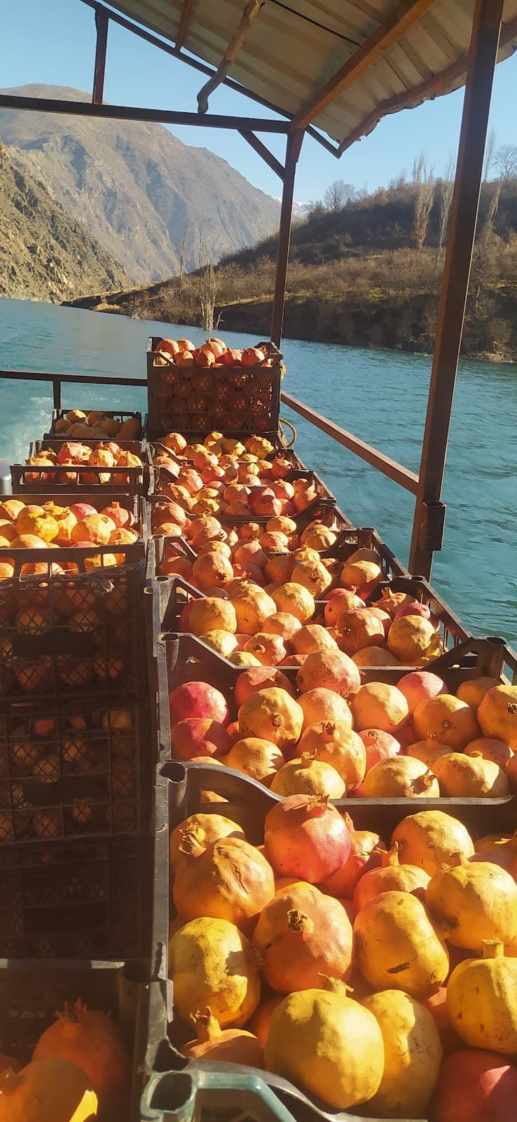 Ertaş Ticaret Nakliyat Komisyon Evi görseli 2