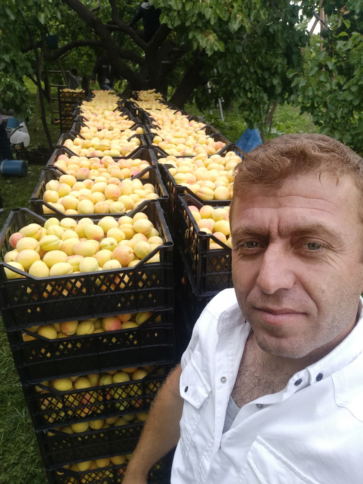 Ertaş Ticaret Nakliyat Komisyon Evi görseli 3