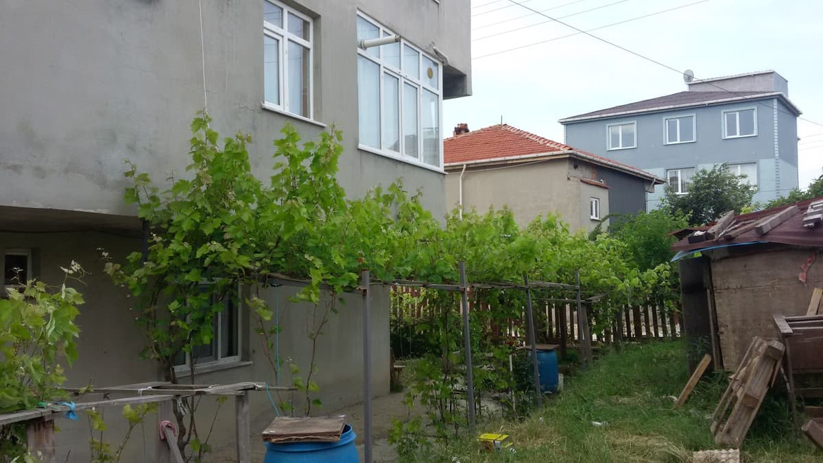 Saray Taşımacılık görseli 2