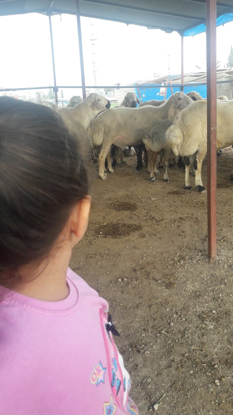 Adana Taşımacılık görseli 2