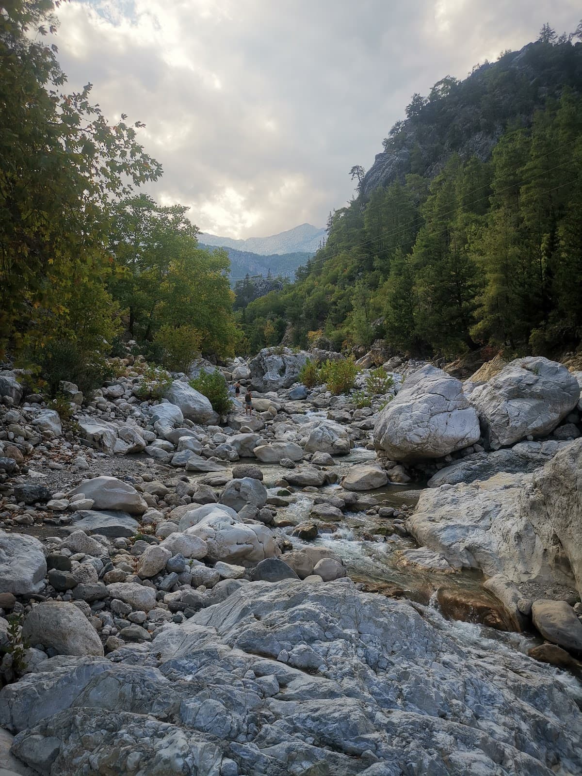 Kemer Nakliyat görseli 1