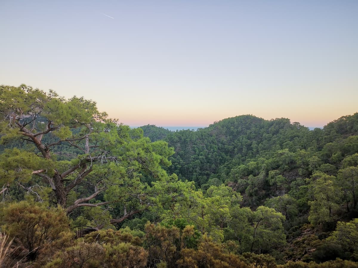 Kemer Nakliyat görseli 2