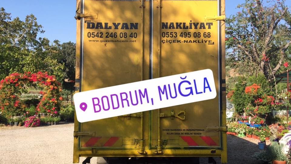 Dalyan Nakliyat görseli 1