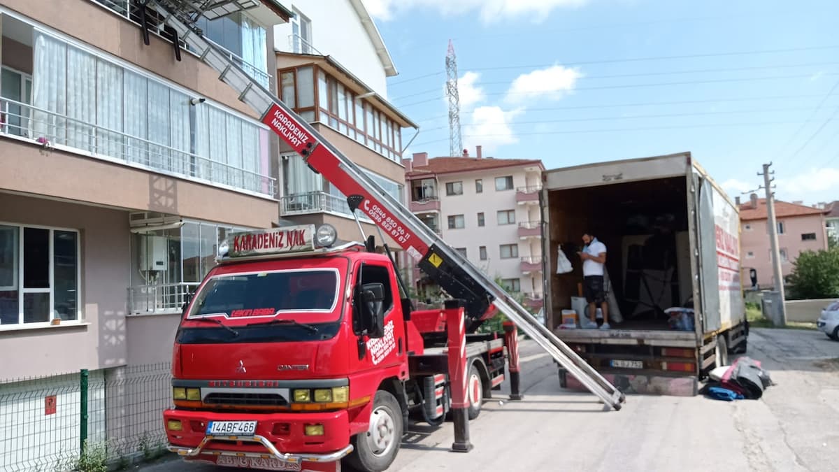 Bolu kardeniz nakliyat görseli 2