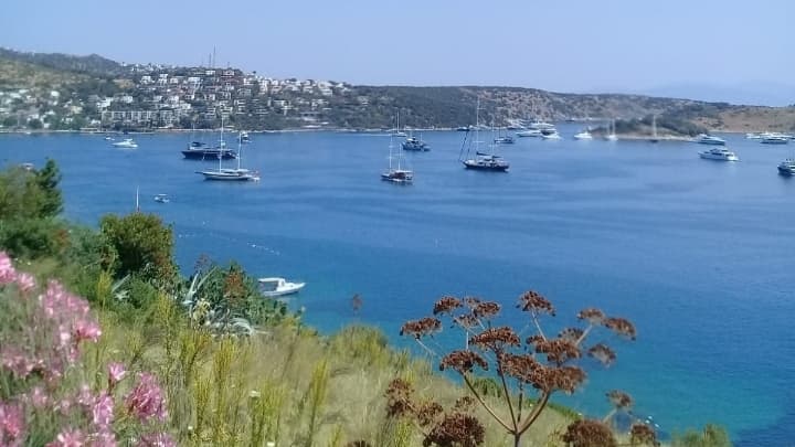 Teus Evden Eve Asansörlü Taşimacilik görseli 1