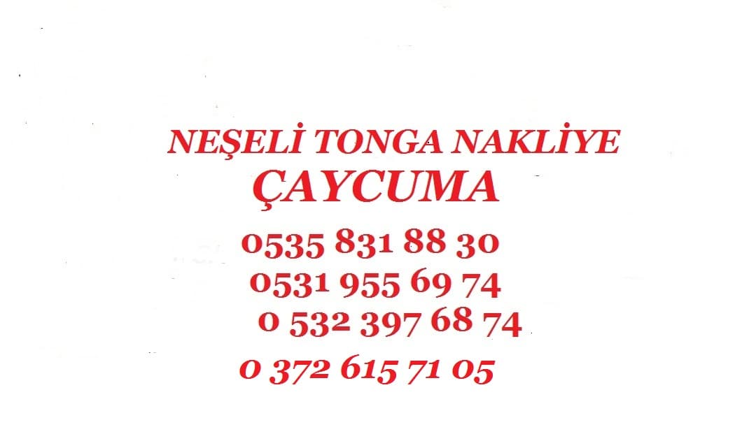 Neşeli Tonga Nakliye görseli 1